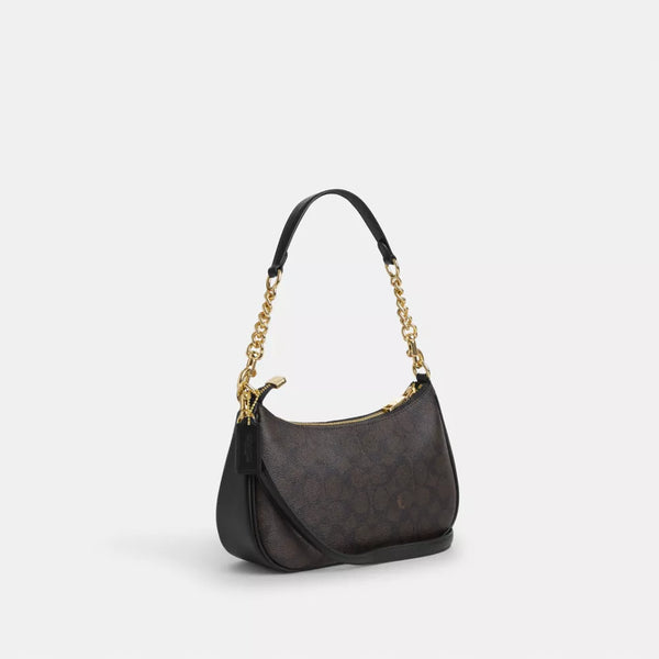Sac teri